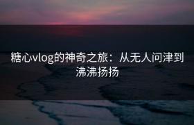 糖心vlog的神奇之旅：从无人问津到沸沸扬扬