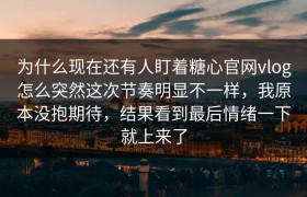 为什么现在还有人盯着糖心官网vlog怎么突然这次节奏明显不一样，我原本没抱期待，结果看到最后情绪一下就上来了