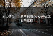 承认错误：重新审视糖心vlog在线观看的真相