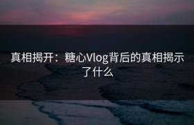 真相揭开：糖心Vlog背后的真相揭示了什么