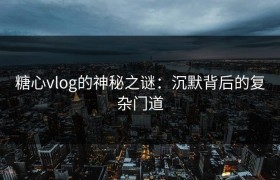 糖心vlog的神秘之谜：沉默背后的复杂门道