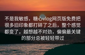 不是我敏感，糖心vlog网页版免费把很多旧印象都打碎了之后，整个感觉都变了，越想越不对劲，偏偏最关键的部分总被轻轻带过