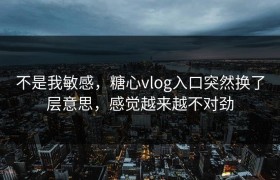 不是我敏感，糖心vlog入口突然换了层意思，感觉越来越不对劲