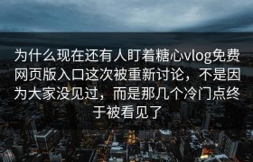 为什么现在还有人盯着糖心vlog免费网页版入口这次被重新讨论，不是因为大家没见过，而是那几个冷门点终于被看见了