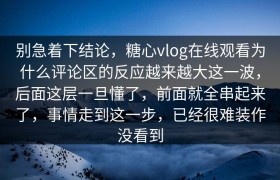 别急着下结论，糖心vlog在线观看为什么评论区的反应越来越大这一波，后面这层一旦懂了，前面就全串起来了，事情走到这一步，已经很难装作没看到