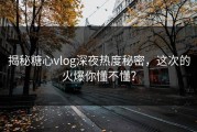 揭秘糖心vlog深夜热度秘密，这次的火爆你懂不懂？