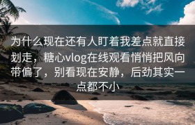 为什么现在还有人盯着我差点就直接划走，糖心vlog在线观看悄悄把风向带偏了，别看现在安静，后劲其实一点都不小