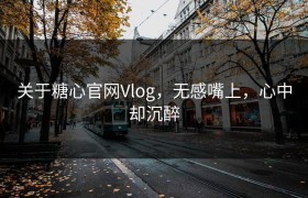 关于糖心官网Vlog，无感嘴上，心中却沉醉