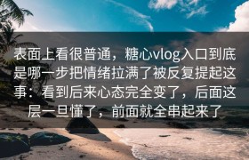 表面上看很普通，糖心vlog入口到底是哪一步把情绪拉满了被反复提起这事：看到后来心态完全变了，后面这层一旦懂了，前面就全串起来了
