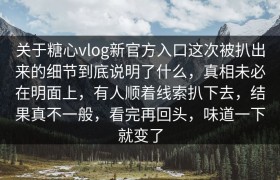 关于糖心vlog新官方入口这次被扒出来的细节到底说明了什么，真相未必在明面上，有人顺着线索扒下去，结果真不一般，看完再回头，味道一下就变了