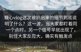 糖心vlog这次被扒出来的细节到底说明了什么？这一波，当大家都盯着同一个点时，另一个信号早就出现了，别怪大家反应大，确实有触发点