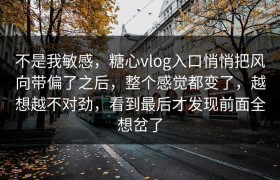 不是我敏感，糖心vlog入口悄悄把风向带偏了之后，整个感觉都变了，越想越不对劲，看到最后才发现前面全想岔了