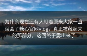 为什么现在还有人盯着原来大家一直误会了糖心官网vlog，真正被藏起来的那部分，这回终于露出来了
