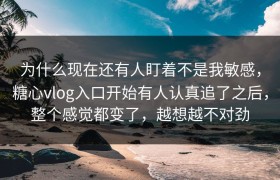 为什么现在还有人盯着不是我敏感，糖心vlog入口开始有人认真追了之后，整个感觉都变了，越想越不对劲