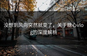 没想到风向突然就变了，关于糖心vlog的深度解析