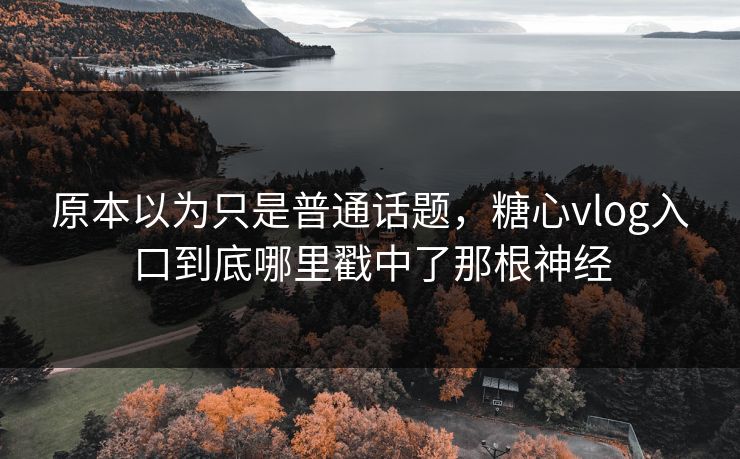 原本以为只是普通话题，糖心vlog入口到底哪里戳中了那根神经