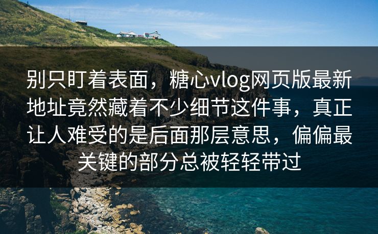 别只盯着表面，糖心vlog网页版最新地址竟然藏着不少细节这件事，真正让人难受的是后面那层意思，偏偏最关键的部分总被轻轻带过