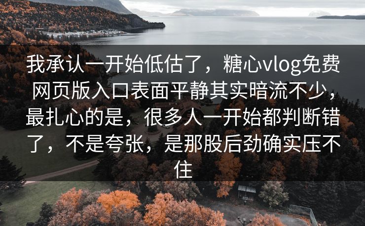 我承认一开始低估了，糖心vlog免费网页版入口表面平静其实暗流不少，最扎心的是，很多人一开始都判断错了，不是夸张，是那股后劲确实压不住