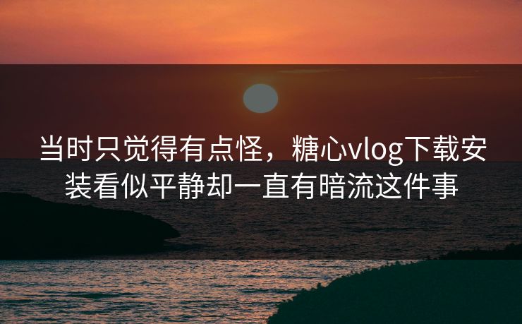 当时只觉得有点怪，糖心vlog下载安装看似平静却一直有暗流这件事