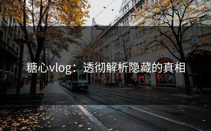 糖心vlog：透彻解析隐藏的真相