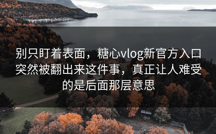 别只盯着表面，糖心vlog新官方入口突然被翻出来这件事，真正让人难受的是后面那层意思