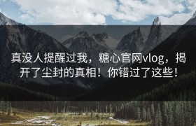 真没人提醒过我，糖心官网vlog，揭开了尘封的真相！你错过了这些！