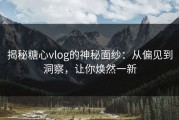 揭秘糖心vlog的神秘面纱：从偏见到洞察，让你焕然一新