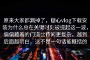 原来大家都漏掉了，糖心vlog下载安装为什么总在关键时刻被提起这一波，偏偏藏着的门道比传闻更复杂，越到后面越明白，这不是一句话能概括的