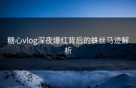 糖心vlog深夜爆红背后的蛛丝马迹解析