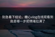 别急着下结论，糖心vlog在线观看到底是哪一步把情绪拉满了