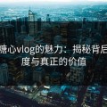 探寻糖心vlog的魅力：揭秘背后的热度与真正的价值
