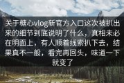 关于糖心vlog新官方入口这次被扒出来的细节到底说明了什么，真相未必在明面上，有人顺着线索扒下去，结果真不一般，看完再回头，味道一下就变了