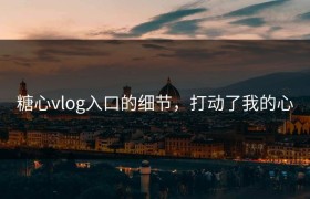 糖心vlog入口的细节，打动了我的心